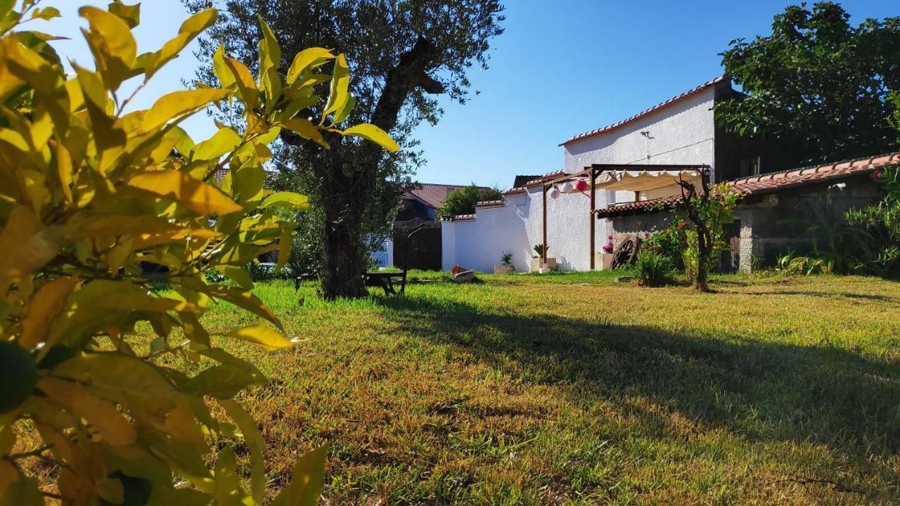 Louro'S Villa - 12130Al Cantanhede Eksteriør bilde